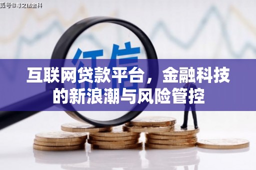 卑南互联网贷款平台，金融科技的新浪潮与风险管控