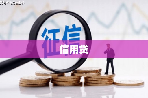 卑南信用贷
