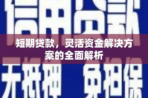卑南短期贷款，灵活资金解决方案的全面解析