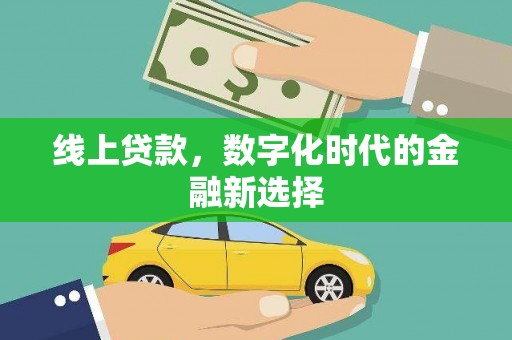 卑南线上贷款，数字化时代的金融新选择