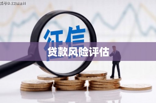 卑南贷款风险评估