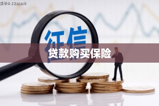 卑南贷款购买保险