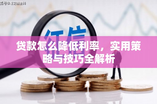 卑南贷款怎么降低利率，实用策略与技巧全解析