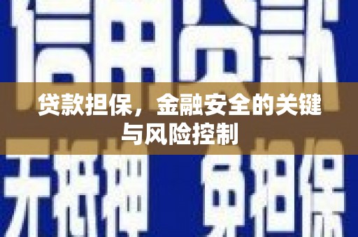 卑南贷款担保，金融安全的关键与风险控制