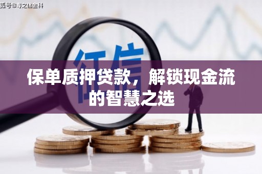 卑南保单质押贷款，解锁现金流的智慧之选