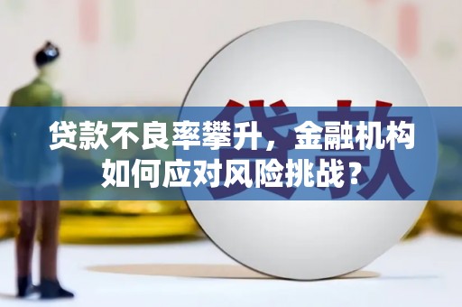 卑南贷款不良率攀升，金融机构如何应对风险挑战？