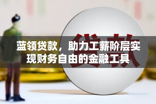 卑南蓝领贷款，助力工薪阶层实现财务自由的金融工具