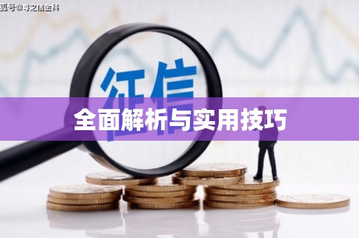 卑南全面解析与实用技巧