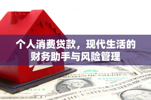 卑南个人消费贷款，现代生活的财务助手与风险管理
