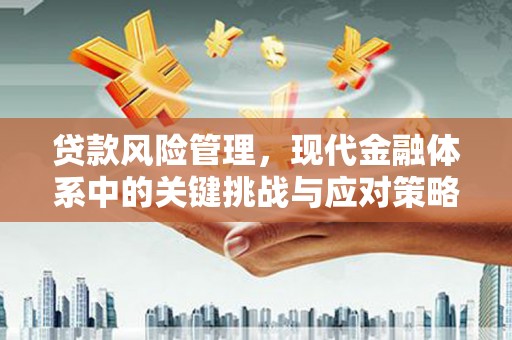 卑南贷款风险管理，现代金融体系中的关键挑战与应对策略