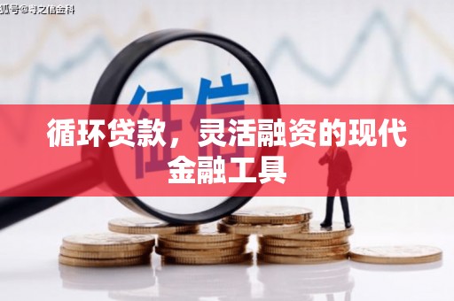 卑南循环贷款，灵活融资的现代金融工具