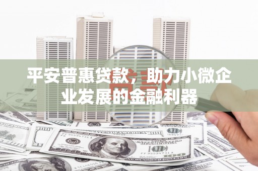 卑南平安普惠贷款，助力小微企业发展的金融利器