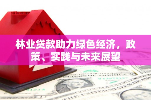 卑南林业贷款助力绿色经济，政策、实践与未来展望