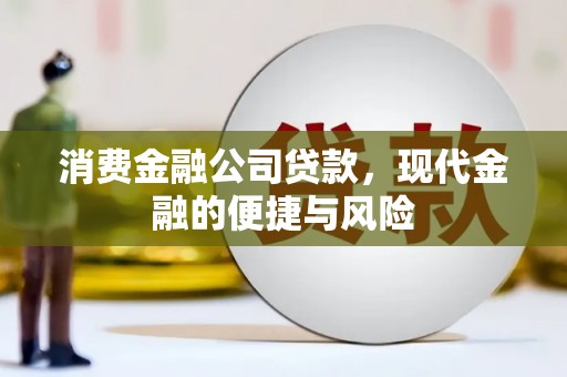 卑南消费金融公司贷款，现代金融的便捷与风险