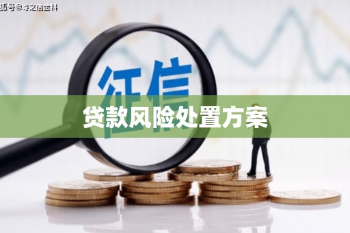 卑南贷款风险处置方案