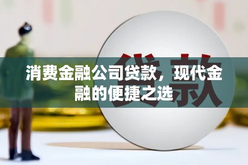 卑南消费金融公司贷款，现代金融的便捷之选