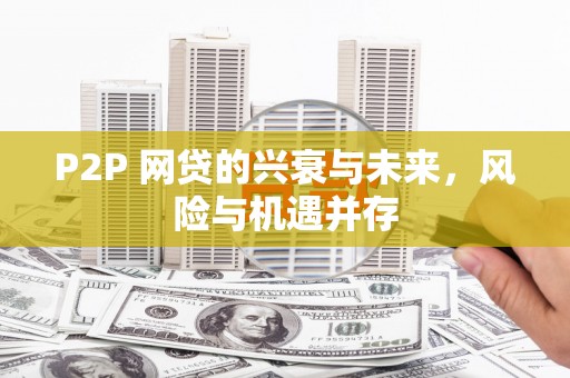 卑南P2P 网贷的兴衰与未来，风险与机遇并存