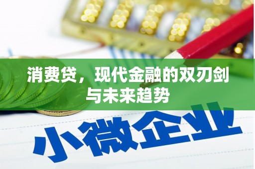 卑南消费贷，现代金融的双刃剑与未来趋势
