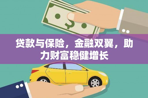 卑南贷款与保险，金融双翼，助力财富稳健增长