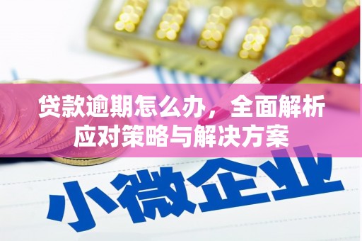 卑南贷款逾期怎么办，全面解析应对策略与解决方案