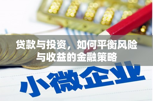 卑南贷款与投资，如何平衡风险与收益的金融策略