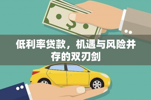 卑南低利率贷款，机遇与风险并存的双刃剑