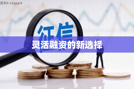 卑南灵活融资的新选择