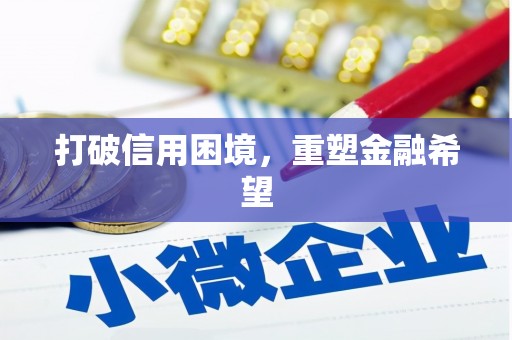 卑南打破信用困境，重塑金融希望