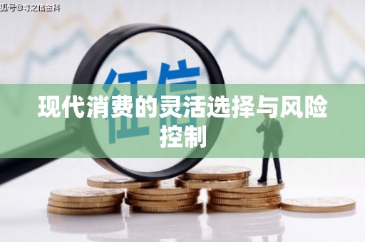 卑南现代消费的灵活选择与风险控制