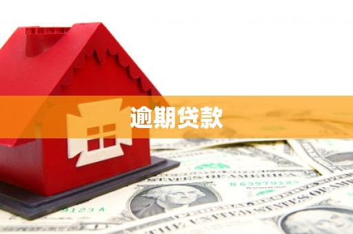 卑南逾期贷款