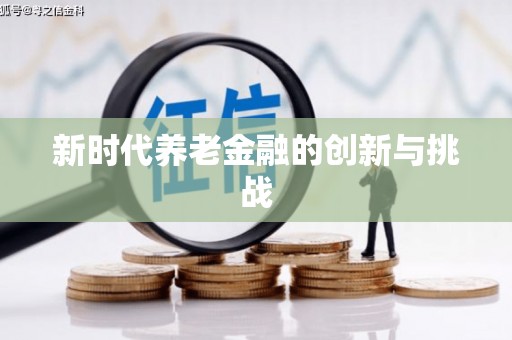 卑南新时代养老金融的创新与挑战