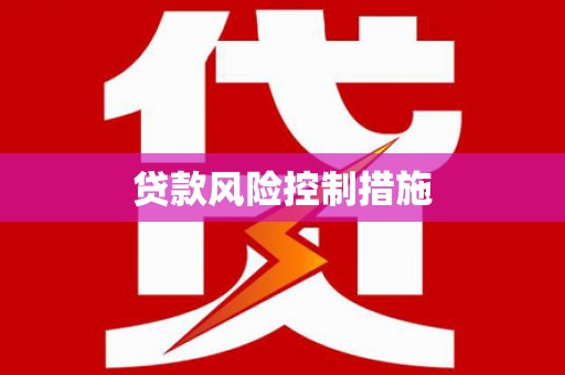 卑南贷款风险控制措施