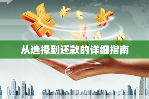 卑南从选择到还款的详细指南