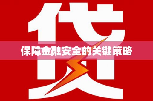 卑南保障金融安全的关键策略