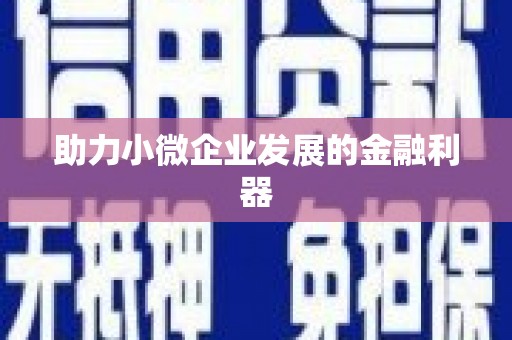 卑南助力小微企业发展的金融利器