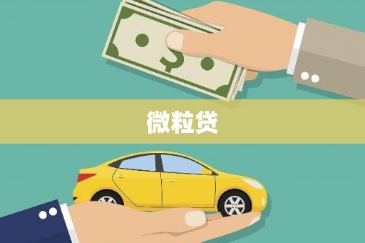 卑南微粒贷