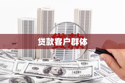 卑南贷款客户群体
