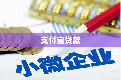 卑南支付宝贷款