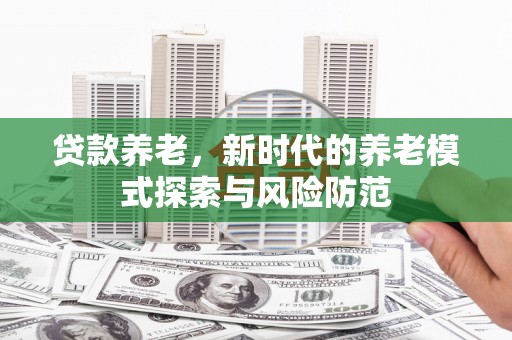 卑南贷款养老，新时代的养老模式探索与风险防范