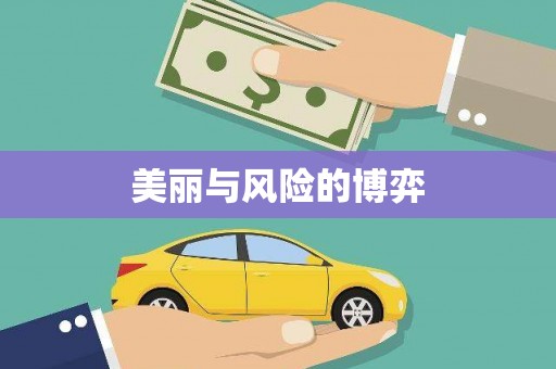 卑南美丽与风险的博弈