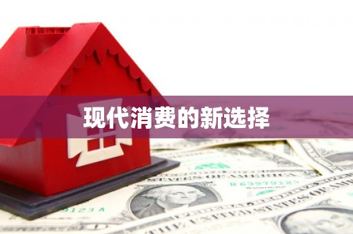 卑南现代消费的新选择