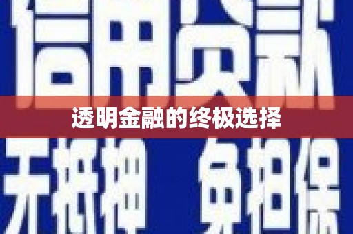 卑南透明金融的终极选择