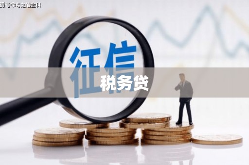 卑南税务贷