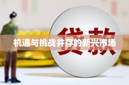 卑南机遇与挑战并存的新兴市场