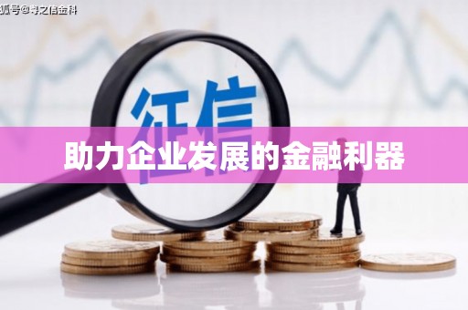 卑南助力企业发展的金融利器