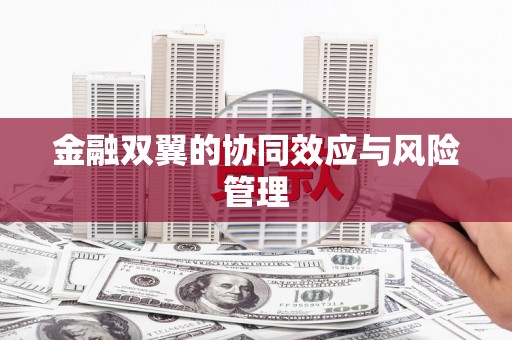 卑南金融双翼的协同效应与风险管理