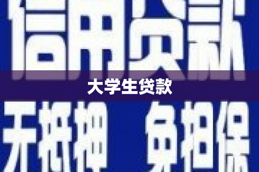 卑南大学生贷款