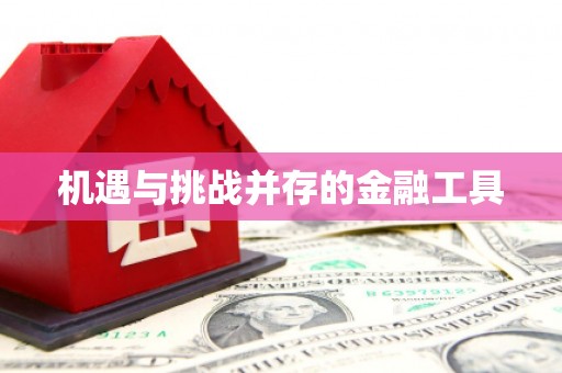 卑南机遇与挑战并存的金融工具