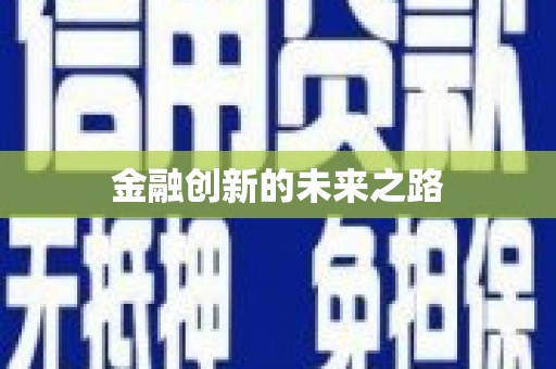 卑南金融创新的未来之路