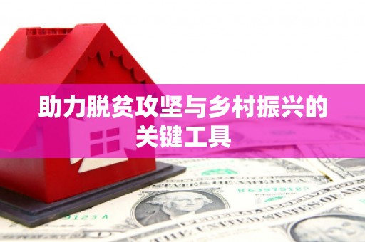 卑南助力脱贫攻坚与乡村振兴的关键工具